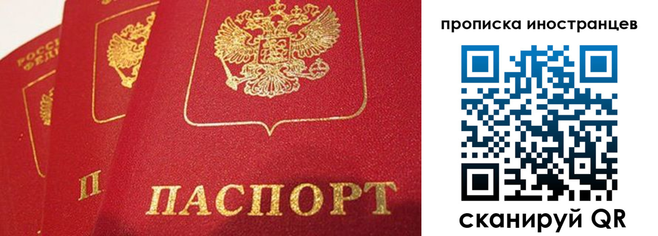 прописка поиск в Трубчевске